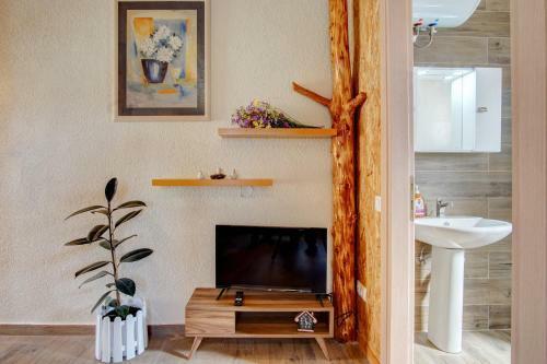 Terezina Wood House