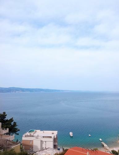 Apartamento Island Luxury View Nemira