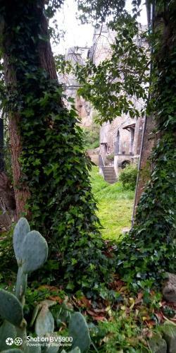 Apartamento Casa Vittoria