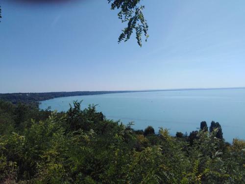 Balaton