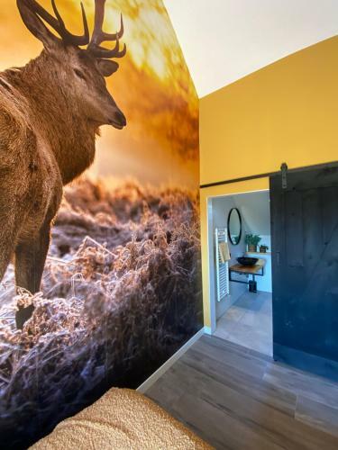 Domestico Bed & Breakfast