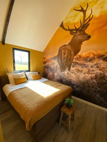 Domestico Bed & Breakfast