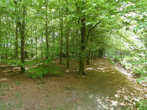 Chalet 24 Op Bospark Trimunt