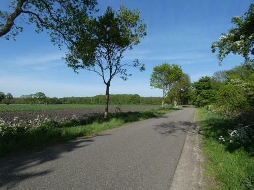Chalet Nr 28 Op Bospark Trimunt