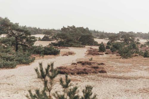 Boshuisje Op De Veluwe