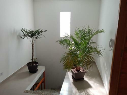 Minha Casa Hostel Curitiba