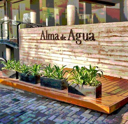 Apartamento Alma Mar�a