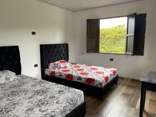 Apartamento Casa Latina