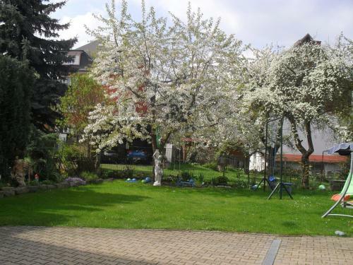 Hostal Pension Rak