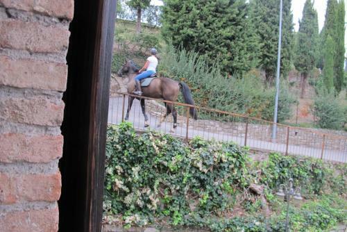 B&B Il Borghetto
