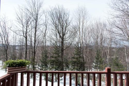 Chalets Chanteclair Resort