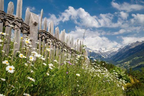 Apartamento Nestlhof