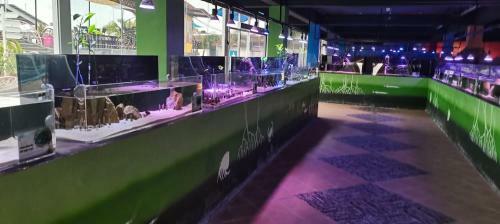 Perdana Quay Eco Marine Park, Langkawi