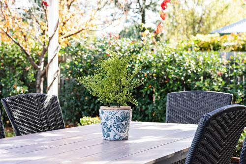 Olive Tree Cottage - Dreamy Leisurely Retreat
