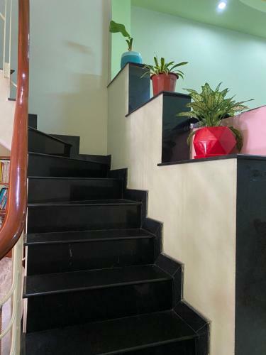 Thu's Homestay