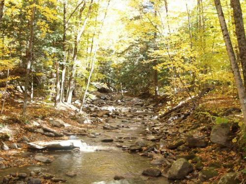 Cabin Sutton 252 - En Harmonie Avec La Nature!