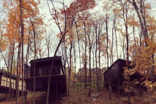 Cabin Sutton 252 - En Harmonie Avec La Nature!