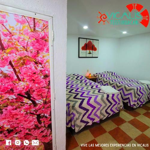 Hotel Vicalis & Restaurante