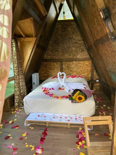 Glampings Y Villas Vicalis