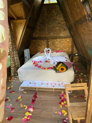 Glampings Y Villas Vicalis