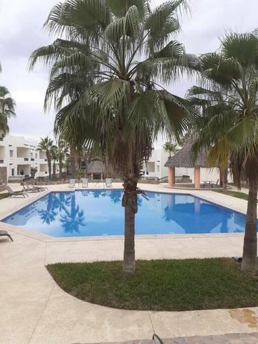 Nice Apartment Near To Medano Beach