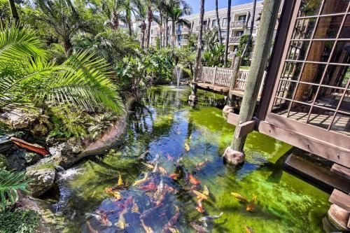 Apartamento Stunning Oceanside Condo With Walk To The Beach