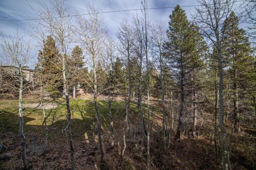 #459 - Large 2 Bed, 2 Bath Walking Distance To Lifts