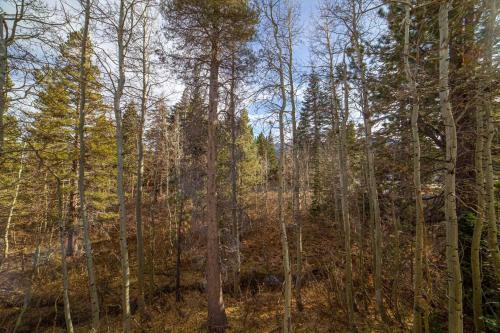#459 - Large 2 Bed, 2 Bath Walking Distance To Lifts