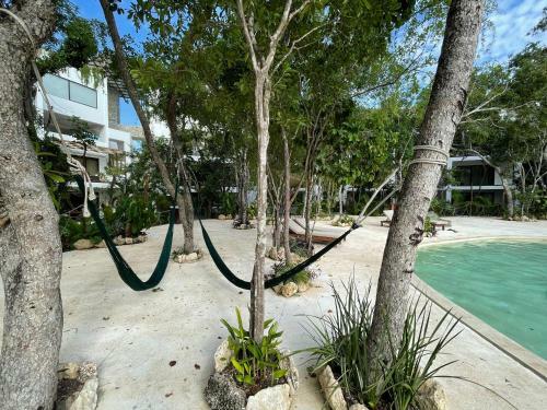 Hostal Amazing Lock-off With Great Amenities