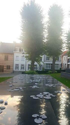 Begijnhof Kamer Kerkzicht