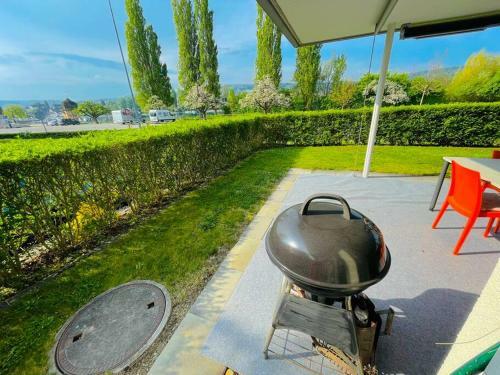 Private Picturesque Terrace Overlooking River Rhein