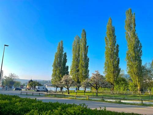 Private Picturesque Terrace Overlooking River Rhein