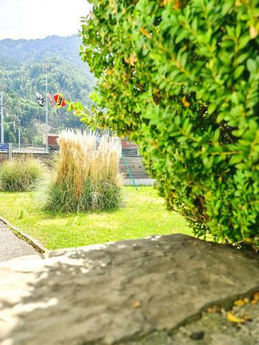 Apartamento Kreuz - Zentral N�he Bahnhof