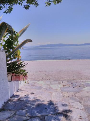 Garden House By The Sea