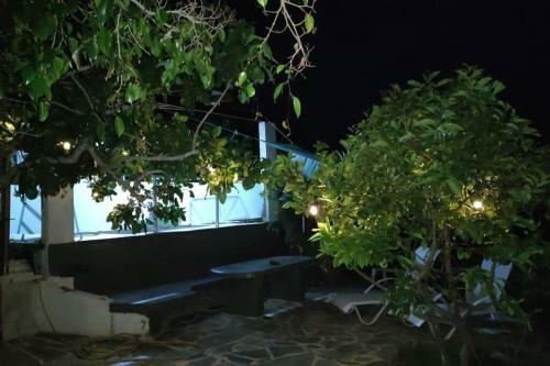 Apartamento Palmtree House