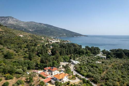 Alfa Boutique Hotel