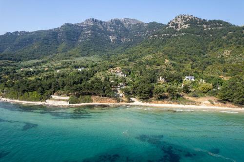 Alfa Boutique Hotel
