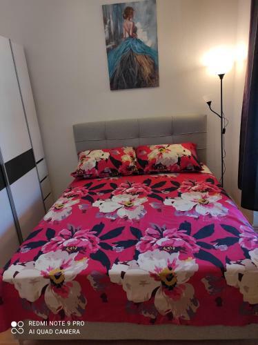 Apartman Ivana