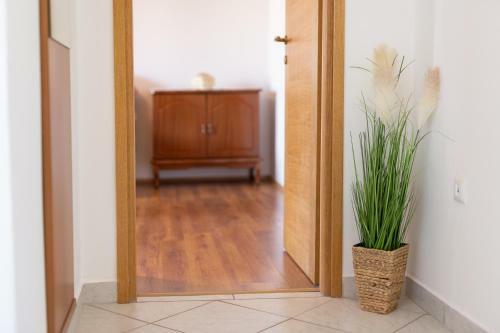 Apartman Gara