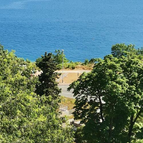 Apartman Flavia
