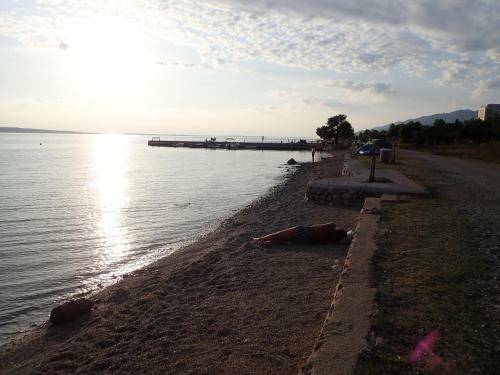 Apartments Darija