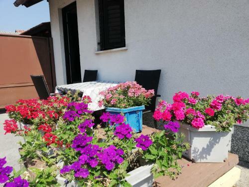 Hostal Sobe Zimmer Rooms Nika