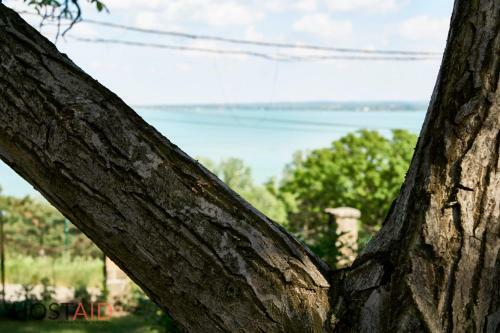 Panorama Residence - Tihany - Hostaid