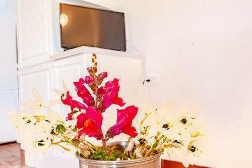 Seaside Holiday Home Vinka
