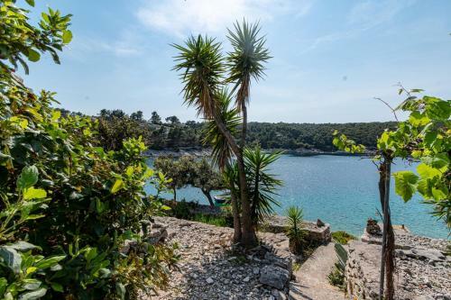 Seaside Holiday Home Vinka