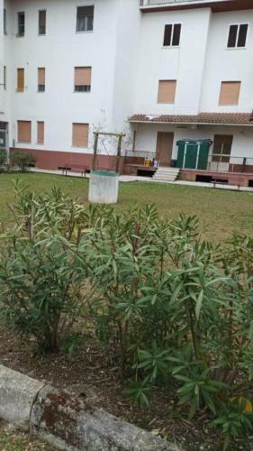 Apartamento Casa Vacanza Santa Monica Campomarino