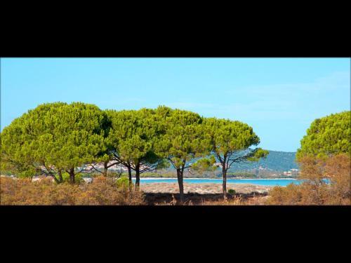 Apartamento Residenze Mare E Pineta