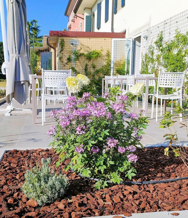 Country Hotel Al Gallo