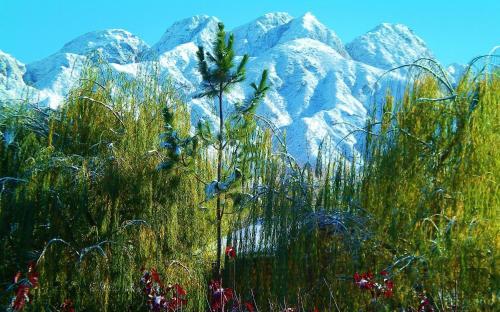 Lodge Caba�a Suiza