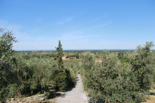 Agroturismo Agriturismo Fonte Di Foiano